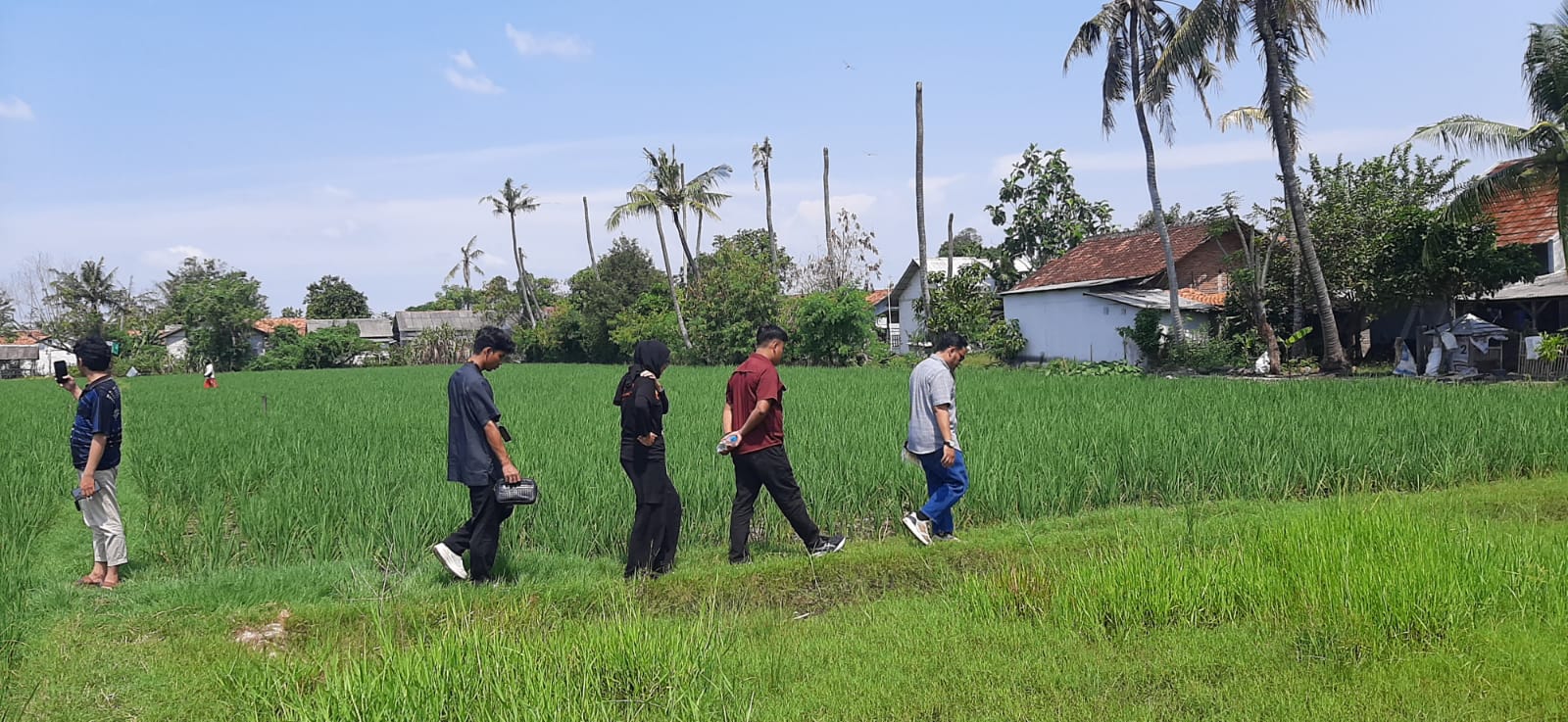 REVOLUSI PETERNAKAN KAMBING, PELUANG CUAN MELALUI INVESTASI DI TENGAH KENAIKAN PERMINTAAN